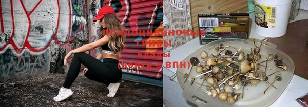 спайс Майский