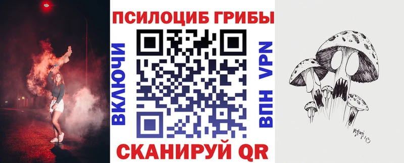 площадка наркотические препараты  Жирновск  Псилоцибиновые грибы Cubensis 