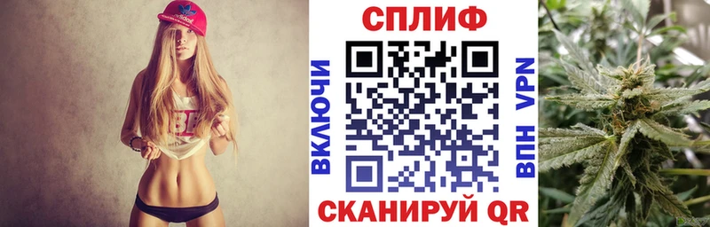 Канабис сатива Жирновск