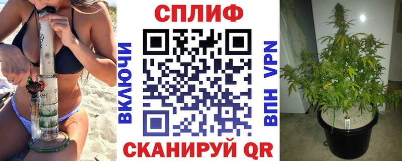 кракен ТОР  Жирновск  Бошки марихуана план 